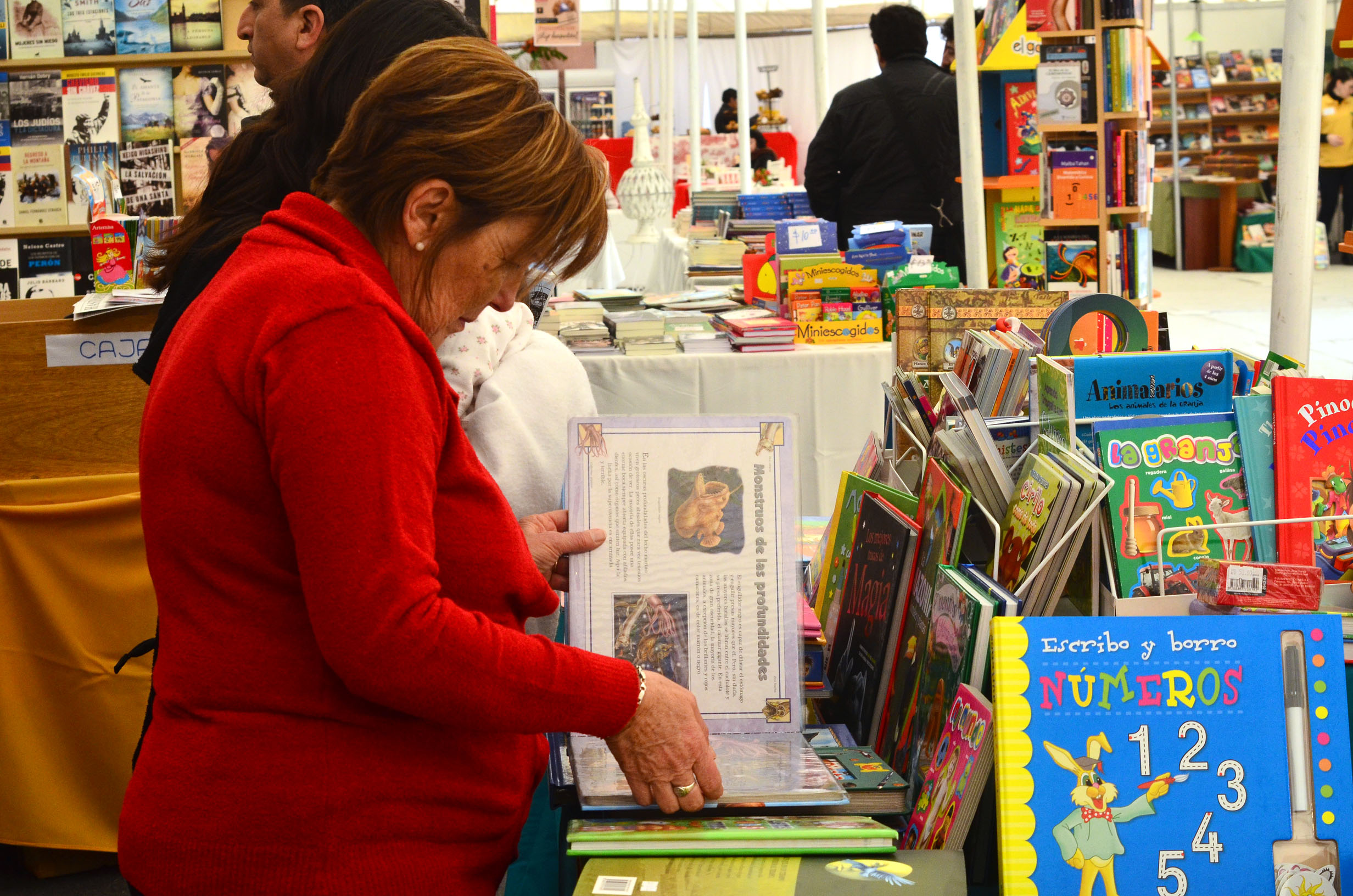 Hoy se inaugura la Segunda Feria internacional del libro de Neuquén